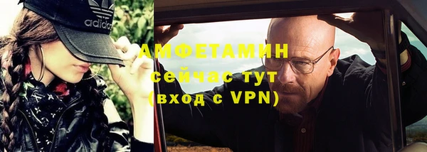 индика Верхний Тагил