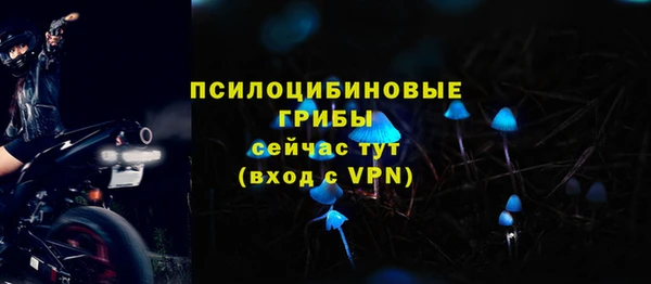индика Верхний Тагил