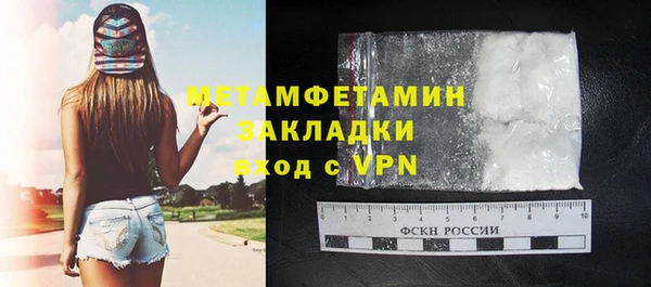 индика Верхний Тагил