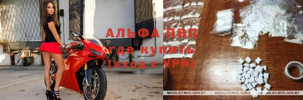 эйфоретик Верея