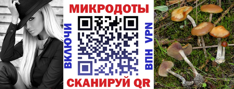 Псилоцибиновые грибы прущие грибы где можно купить Кяхта