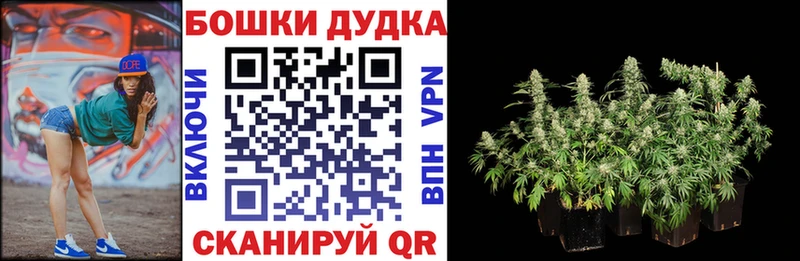 где продают   Кяхта  Конопля марихуана 